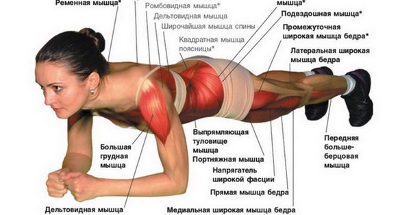 Papan latihan: foto, cara melakukan papan latihan dengan betul, petua dan trik