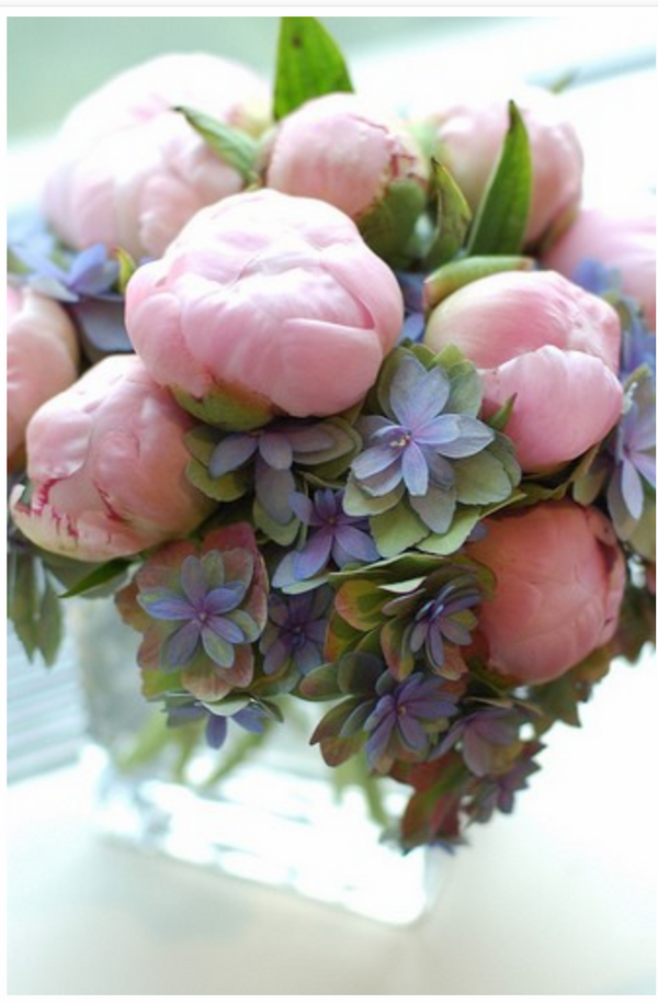 Bouquets bunga yang paling bergaya 2024-2025, gambar, trend bunga