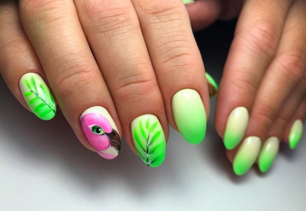 Manicure yang indah untuk kuku berbentuk almond 2024-2025: foto